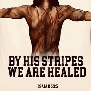 Meet your Posher, Hayward